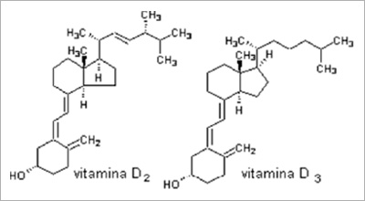 vitamina D e calcio, terapia farmacologica per intervento con protesi